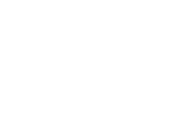ميسا رام